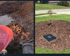 Fairhope Fix will remove even the most stubborn Shrubs and Trees