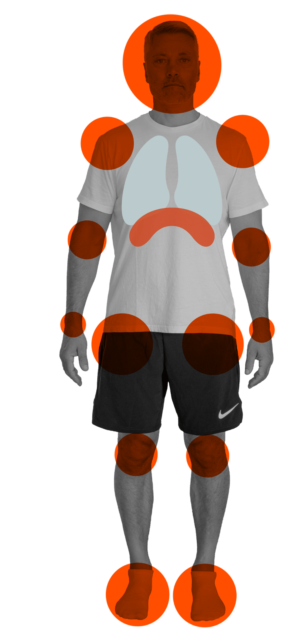 Vorderansicht des Körpers