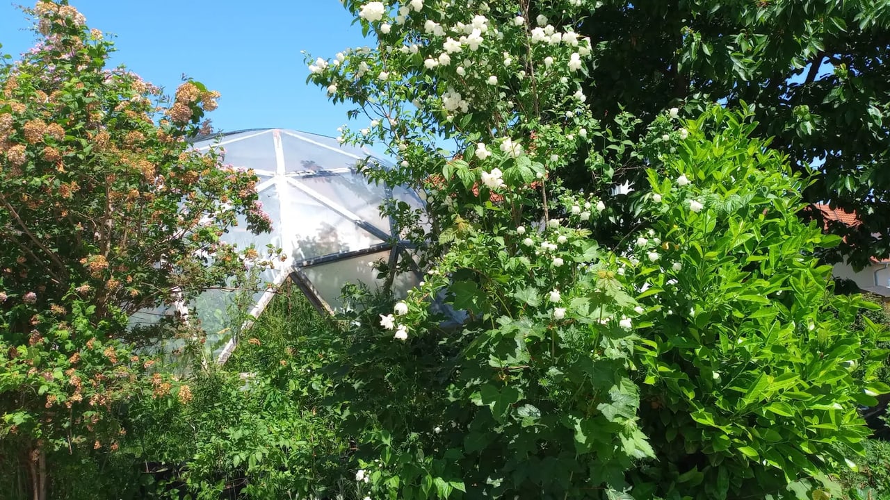 Üppig bewachsener Garten mit Geodom im Hintergrund