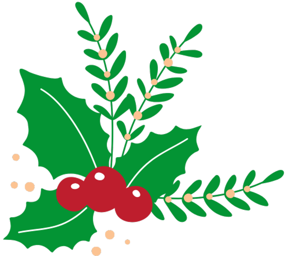 Stechpalmenblätter mit drei roten Beeren und kleineren Zweigen mit hellbraunen Beeren.