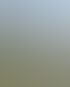 Visualisierung PINUS
