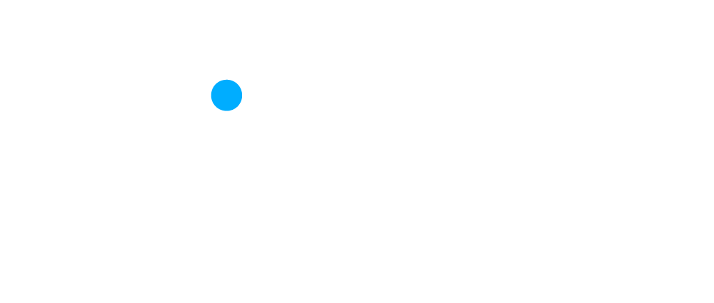 Diese Grafik zeigt das Logo von Polar Marketing