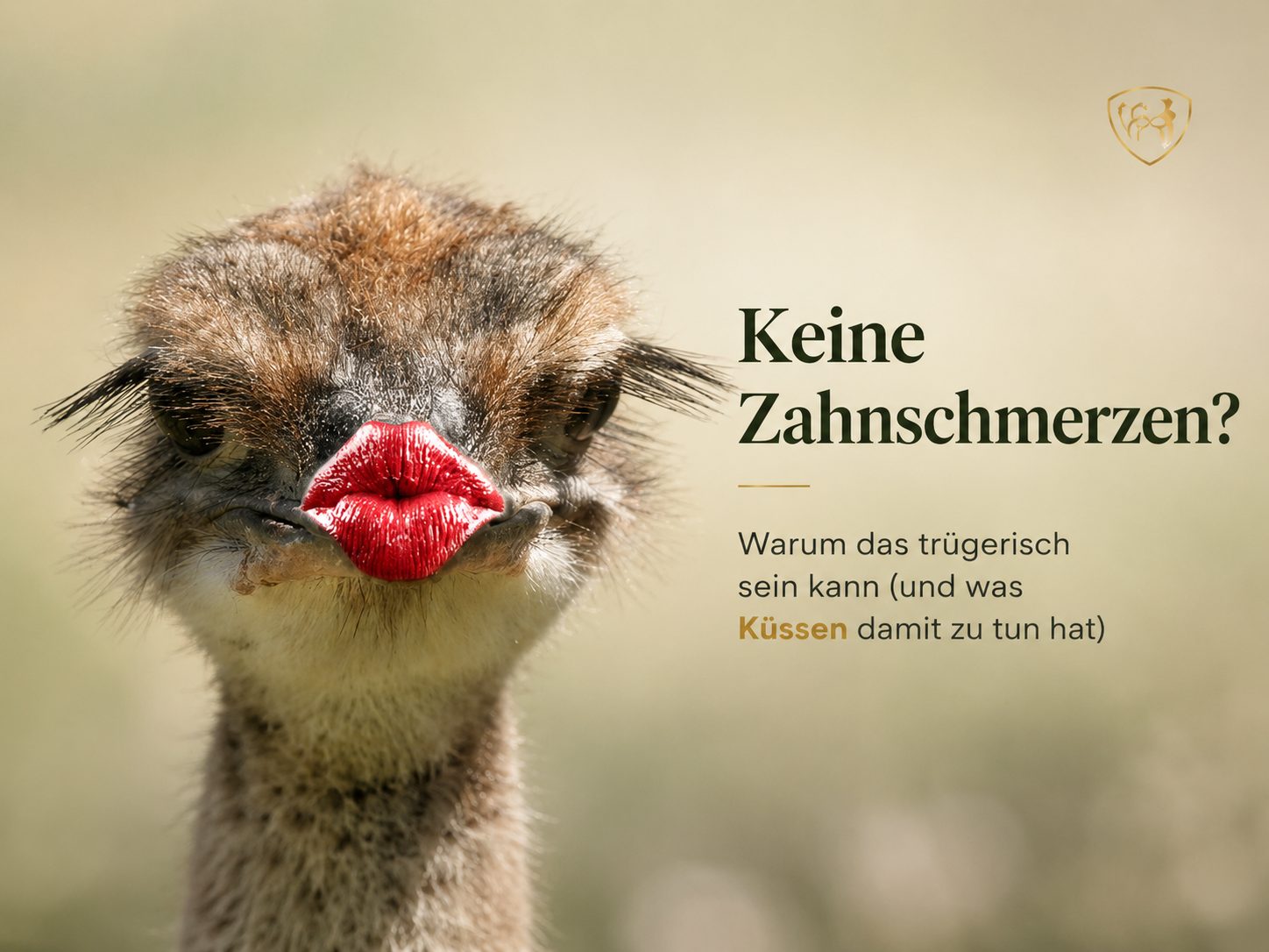 Keine Zahnschmerzen? Warum das trügerisch sein kann.