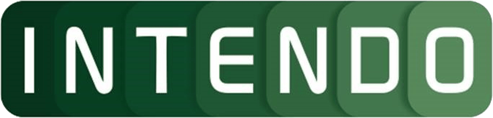 Intendo Logo