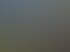 Forstservice Frankfurt (Oder) | Forstservice Winnige