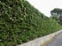 Gartenpflege Braunfels | Basun Haus & Gartenservice