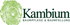 Baumpflege Kambium