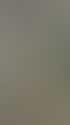 Standbild aus einem Video über typische Fehler im Assessment Year