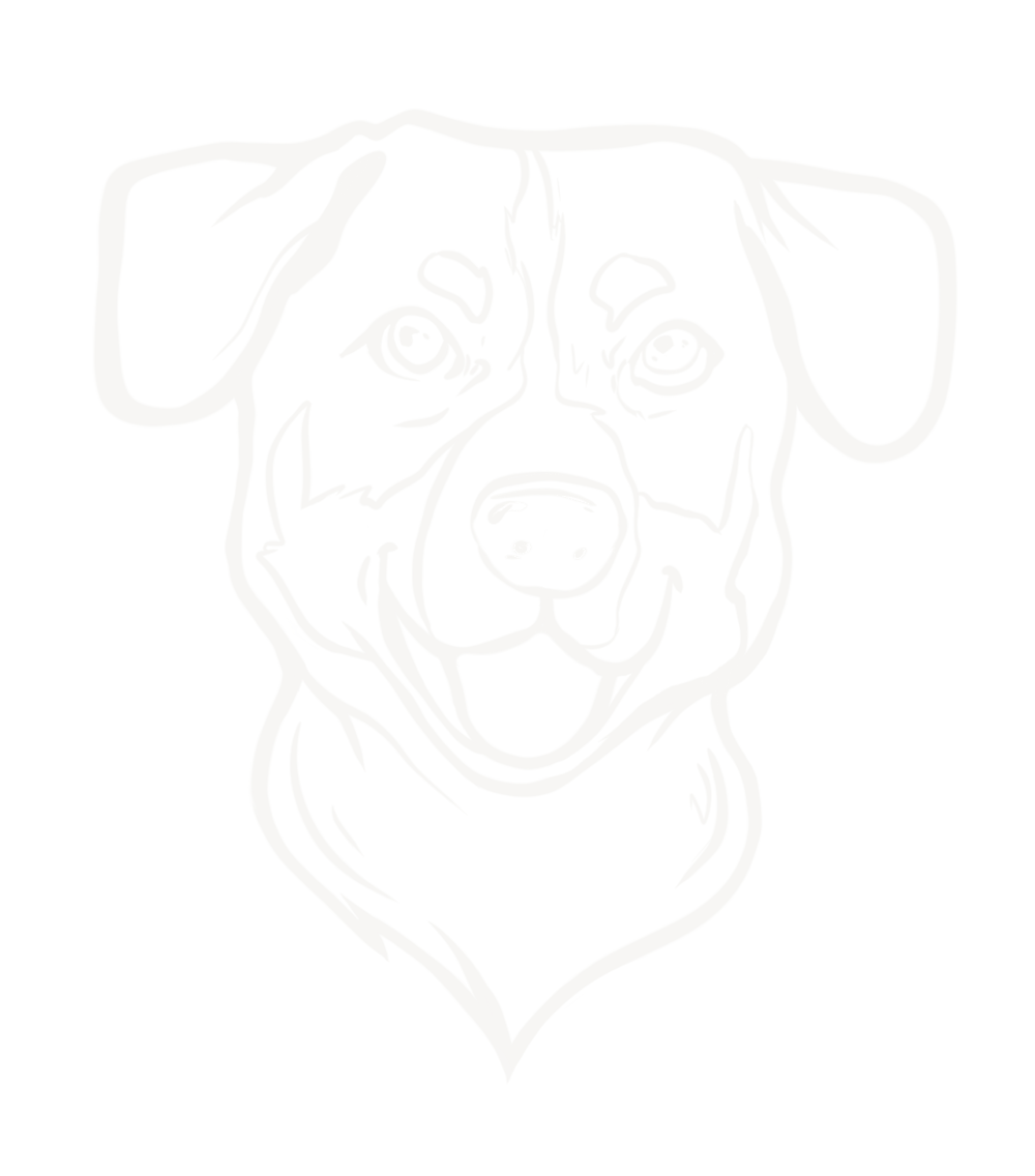 Hundekopf mit offenem Maul und lächelndem Ausdruck.