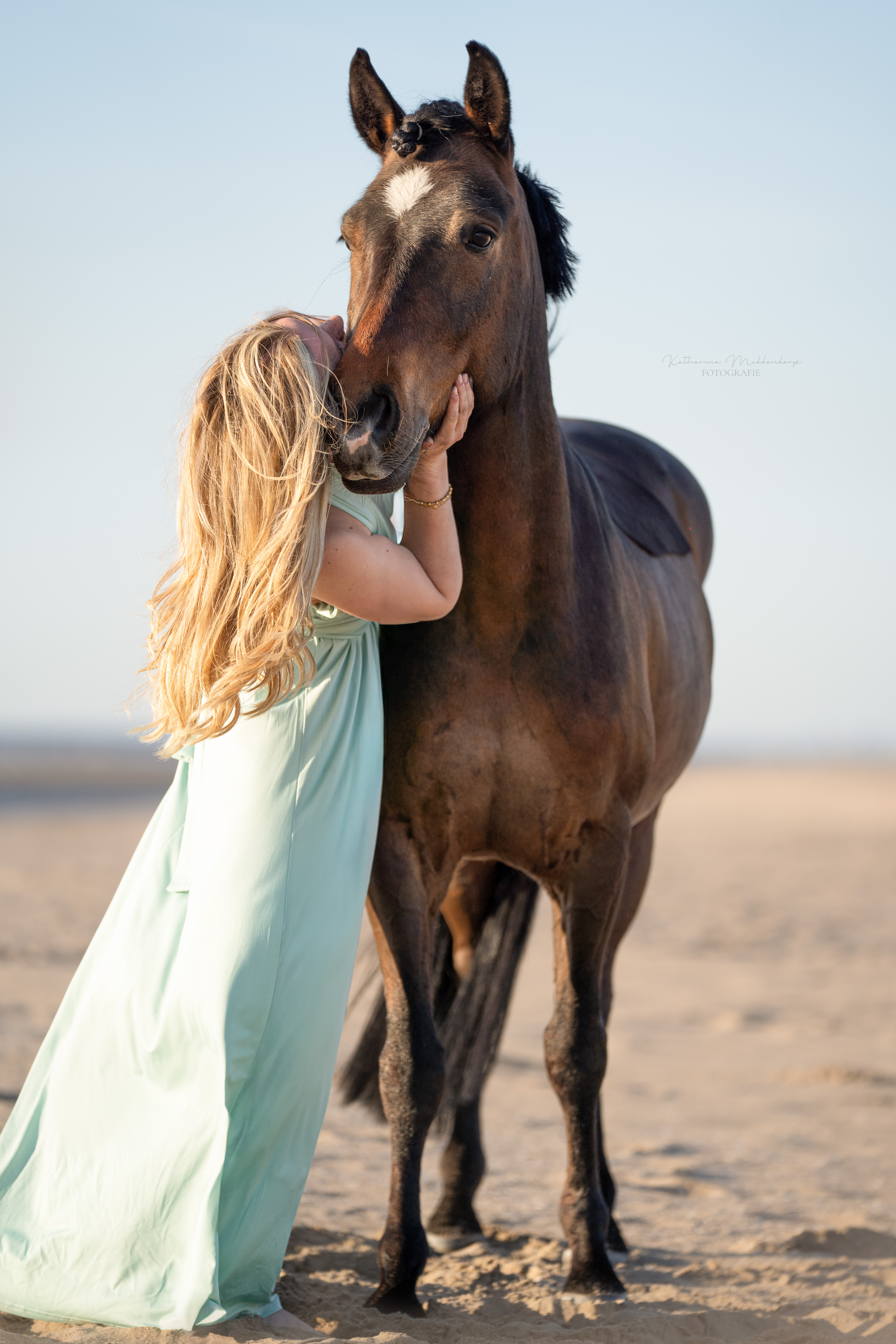 Pferdefotografie von Katharina Middendorp