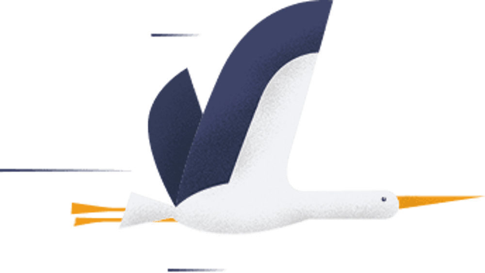 Eine weiße Möwe mit dunklen Flügeln und orangefarbenem Schnabel und Schwanz fliegt nach rechts.