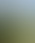 Garten- und Landschaftsbau aus Pfarrkirchen | Terravion