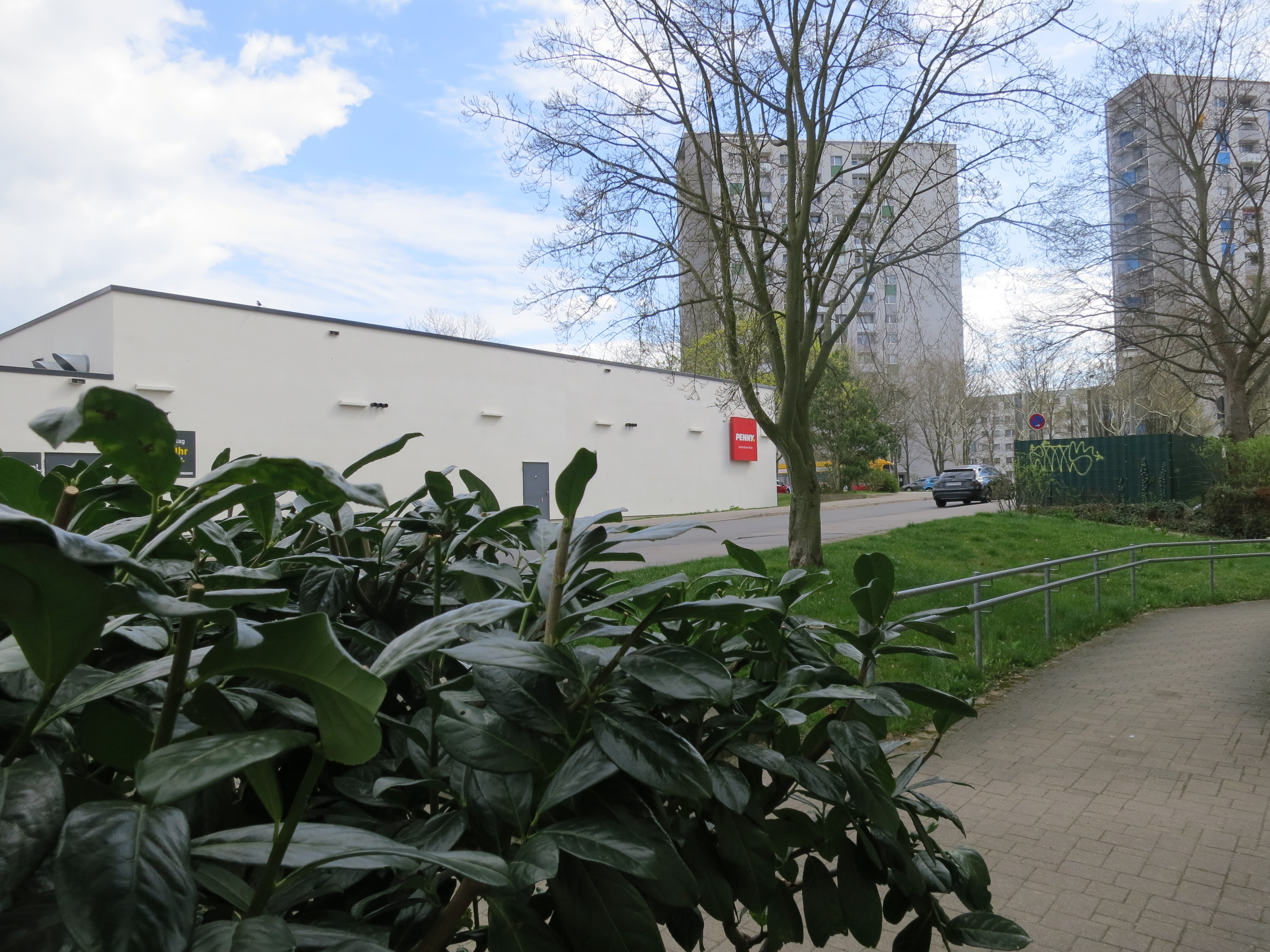 Grüner Innenhof in Dresden-Prohlis