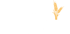 Logo des Schweizerischen Agrarmuseums Burgrain mit goldenen Getreideähren auf grünem Hintergrund.