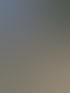 Forstservice Frankfurt (Oder) | Forstservice Winnige