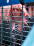 Foto von Lucia hinter Gittern