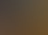 Zwei Frauen sitzen an einem Holztisch, eine schreibt Notizen, die andere schaut auf einen Laptop.