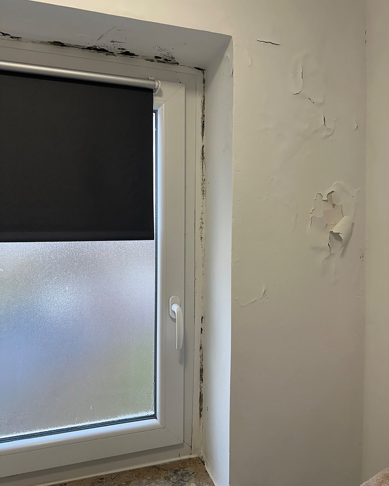 Feuchte- und Schimmelspuren im Bereich eines Fensteranschlusses und der angrenzenden Wandfläche.