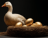 Gans sitzt neben einem Nest aus Stroh mit fünf goldenen Eiern auf dunklem Hintergrund.