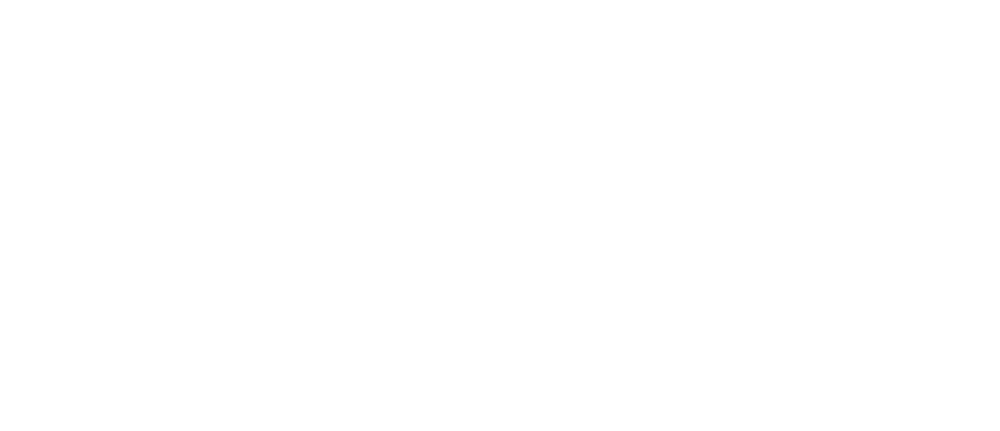 The Savvy Company Logo mit einem weißen Fuchs-Icon in einem Kreis auf schwarzem Hintergrund.