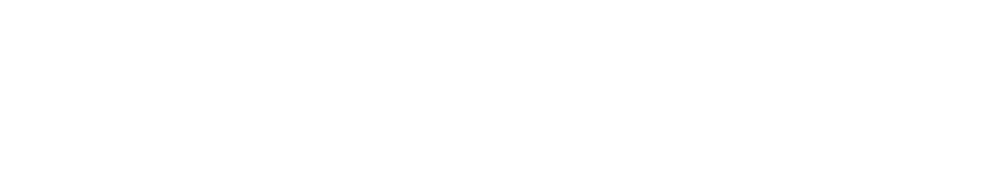 Lokal Digital