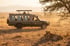 Big Five safari in Tanzania with Kilidove Tours after gorilla trekking in Rwanda