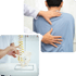 Chiropractor demonstrating spinal adjustments on patient