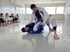 Einstieg mit den BJJ Basics