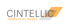 CINTEL LIC CONSULTING GROUP Logo in Grau, Orange und Weiß auf dunkelgrünem Hintergrund.