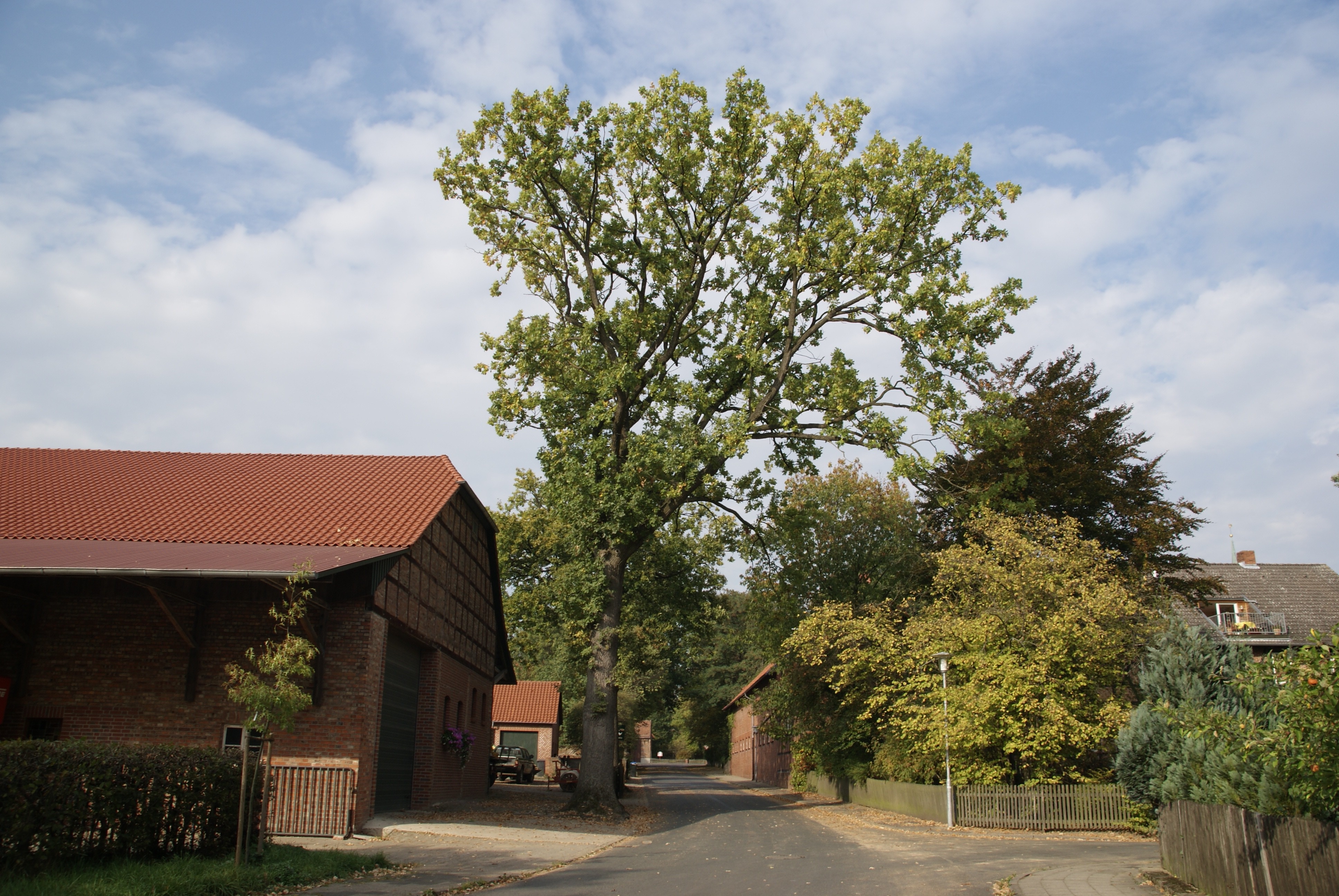 Luftaufnahme von Wipshausen, Ortsteil von Edemissen, mit Häusern, See und grünen Feldern