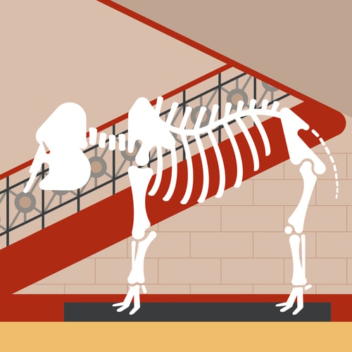 Illustration des Museums Alexander König mit Giraffenskelett an der roten Treppe