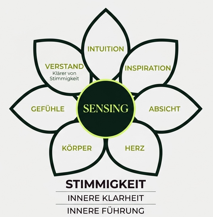 Sensing — viele Elemente, ein Zusammenspiel für Stimmigkeit
