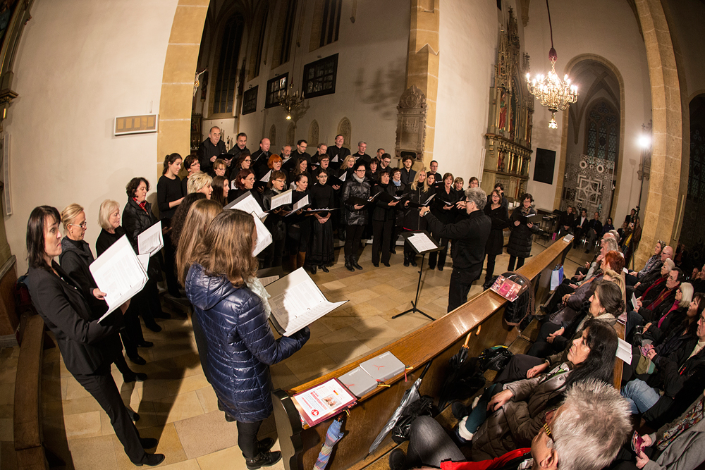 Collegium Vocale Kapfenberg singing at the Songs of Spirit concert, Voices of Spirit 2015, Graz