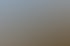 Sonnenlicht scheint durch Kiefern auf einem Hügel mit hohem, trockenem Gras unter blauem Himmel.