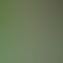 Grüner Text auf weißer Wand: "Wissen erleichtert leben."