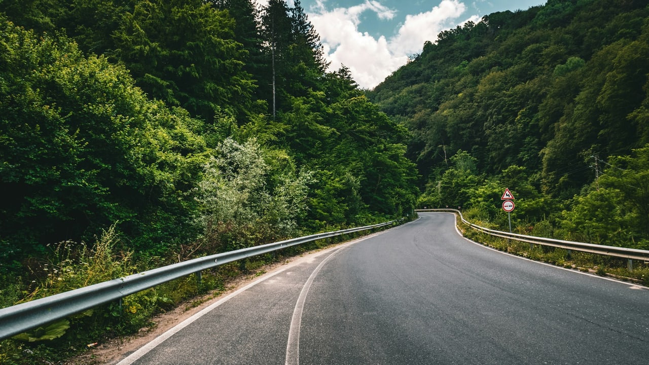 A narrow two-lane road curving through tall conifers on a mountain grade, the kind of climb Highway 198 becomes above Three Rivers on the drive to Sequoia from Hanford, California