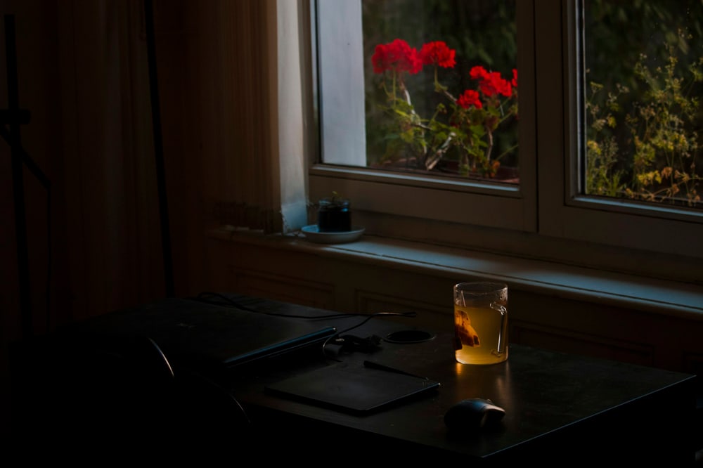 Dämmriger Raum mit einem Schreibtisch am Fenster, darauf ein Glas mit bernsteinfarbenem Getränk im letzten Abendlicht, draußen rote Geranien.