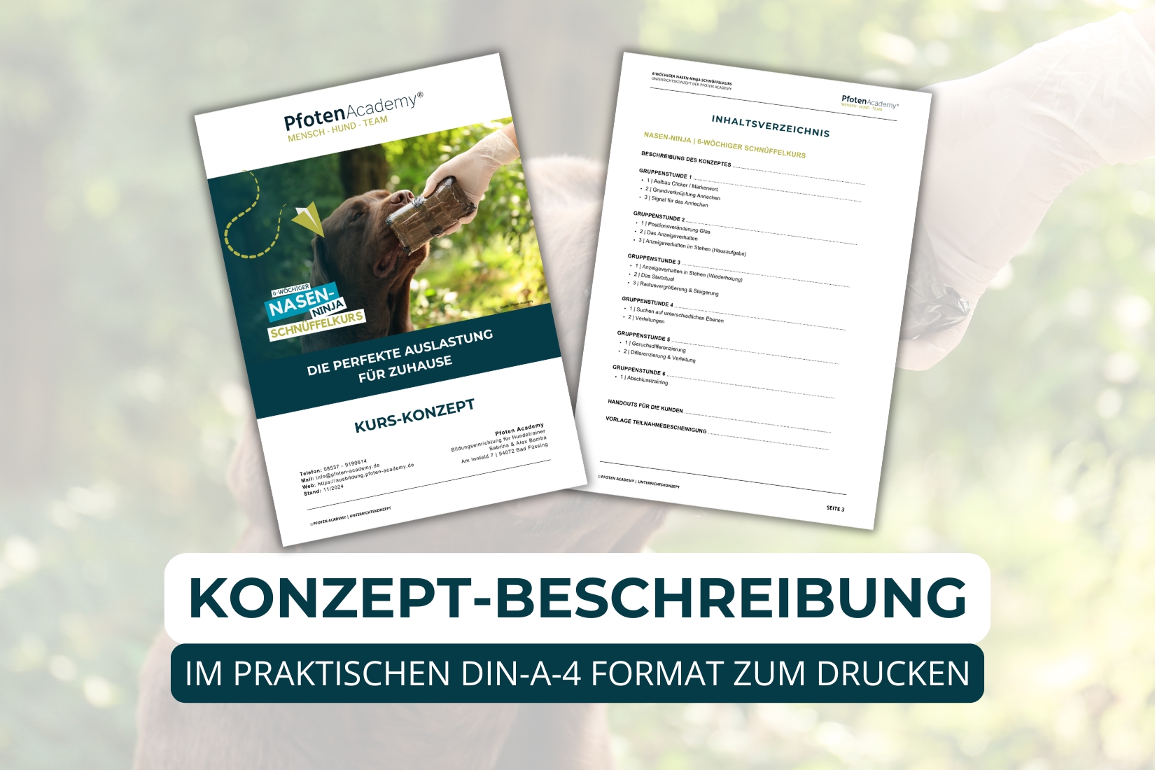 6-wöchiger Nasen Ninja Kurs – Bild 4