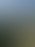 Felsvorsprung mit Bäumen und Blick auf grüne Hügel und Felder unter bewölktem Himmel.