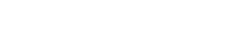Feingeist Unternehmensberatung