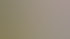 Menschen unterhalten sich während eines Events auf einer Bühne. 