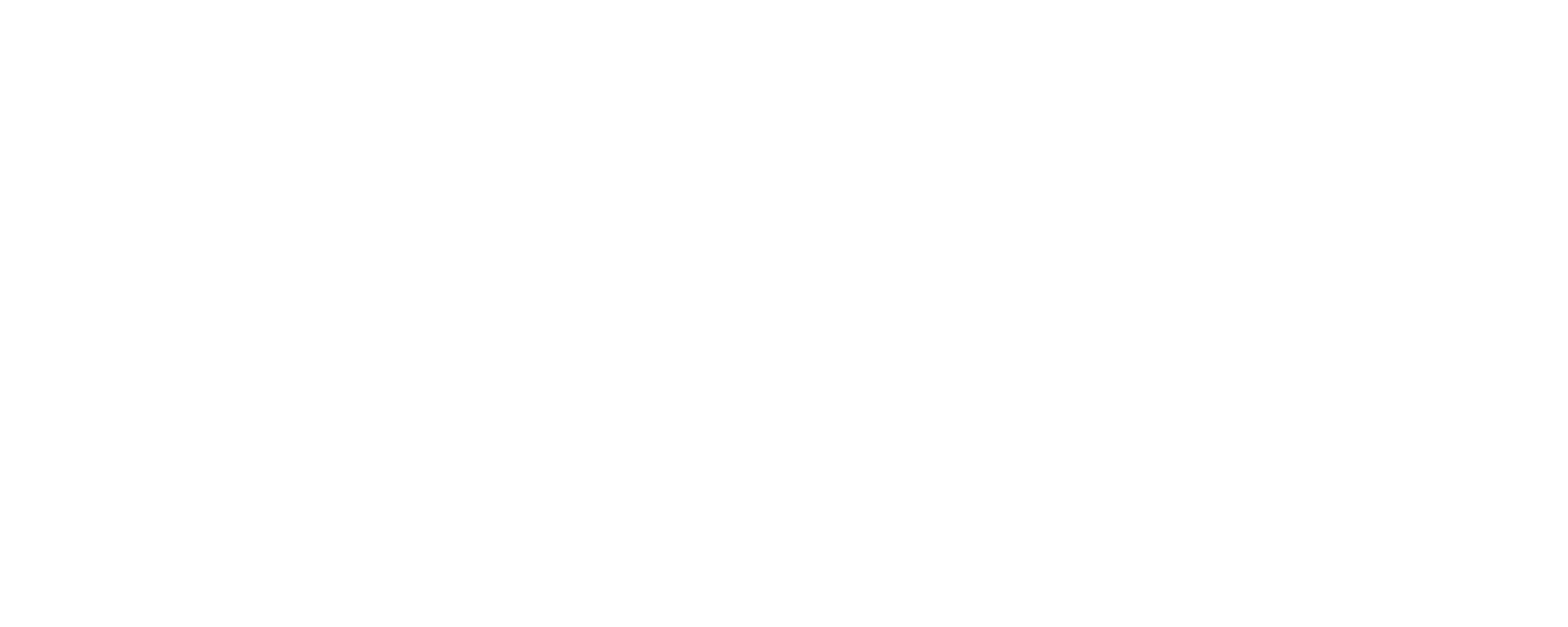 Bluts Brüder Restaurant & Bar Logo — Referenz Werbefotografie Veropalumbo Studio