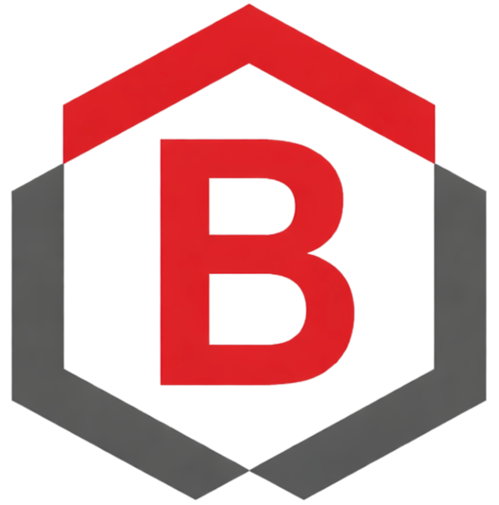 Logo: Blaues und graues Hexagon mit „B“, daneben „BRAHIMI Gebäudereinigung • Facility Management“.