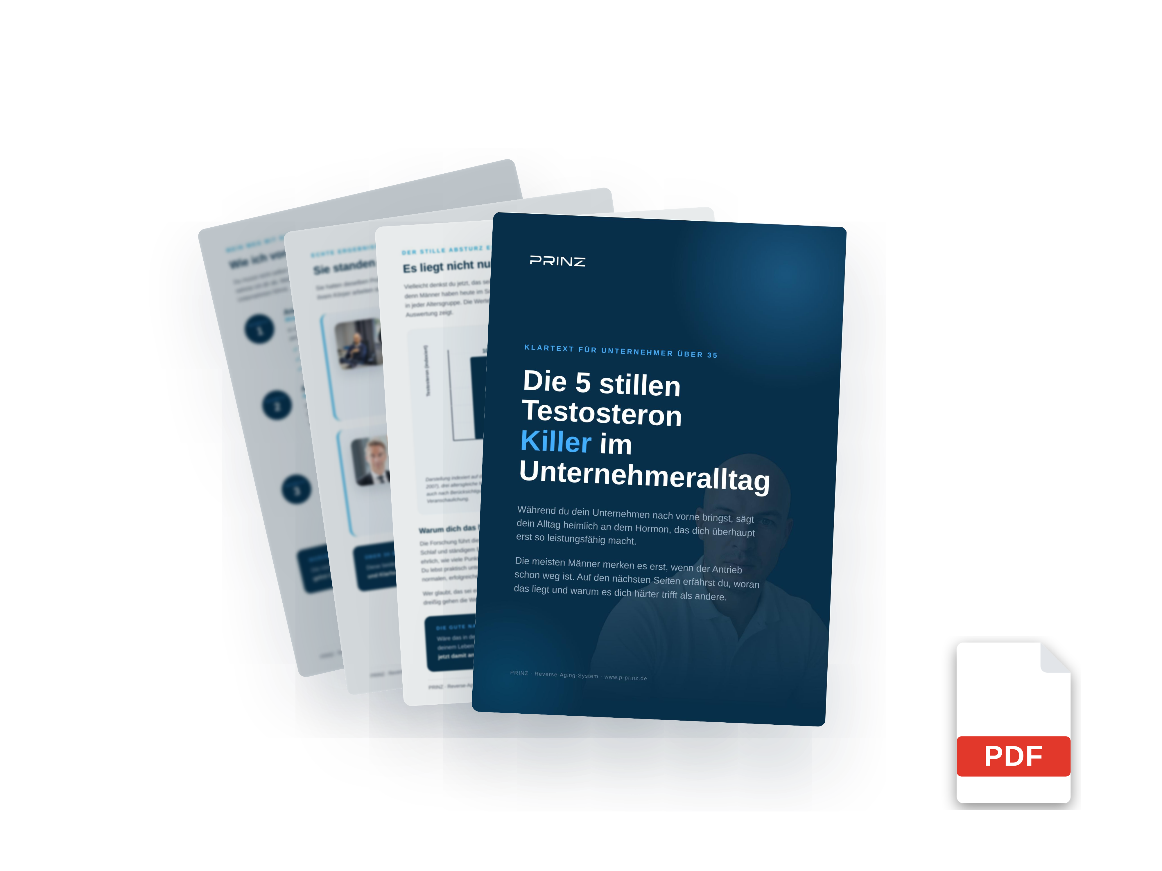 Testosteron-Guide