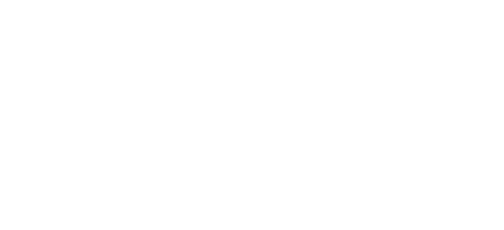 Logo von Proscaling GmbH mit einem stilisierten goldenen Adlerkopf links und weißem Text.