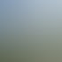 Visualisierung PINUS
