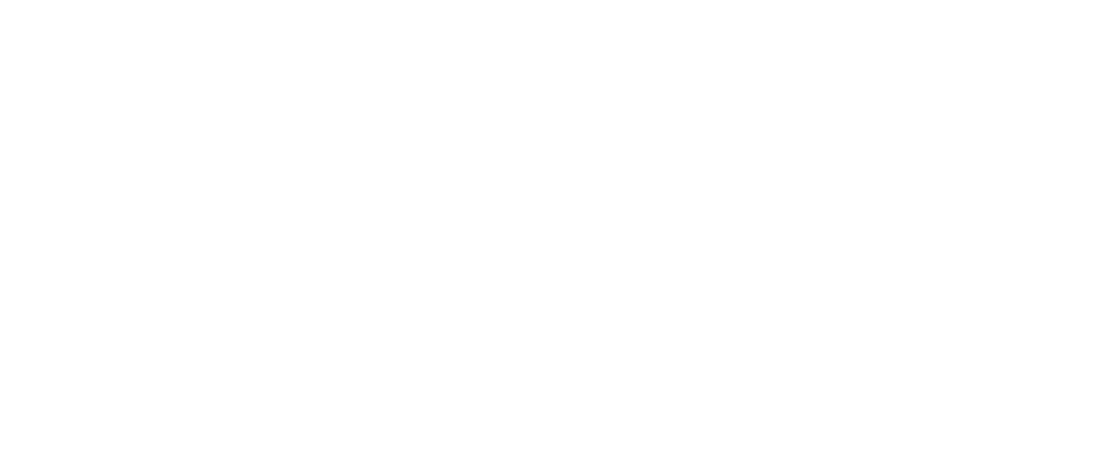 Weißer Text "Solution AKPOS by GACPTL GMBH" auf grünem Hintergrund.