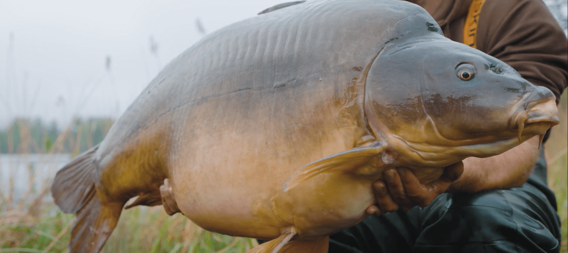 Online Shops – Video 6