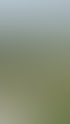 Gartenpflege in Cottbus & Heckenschnitt | Hecken & Halm