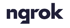 Ngrok-Logo mit stilisiertem, weißen Schriftzug auf dunklem Hintergrund, Entwickler-Tool für sichere Tunnel, Webhooks und API-Zugriffe.